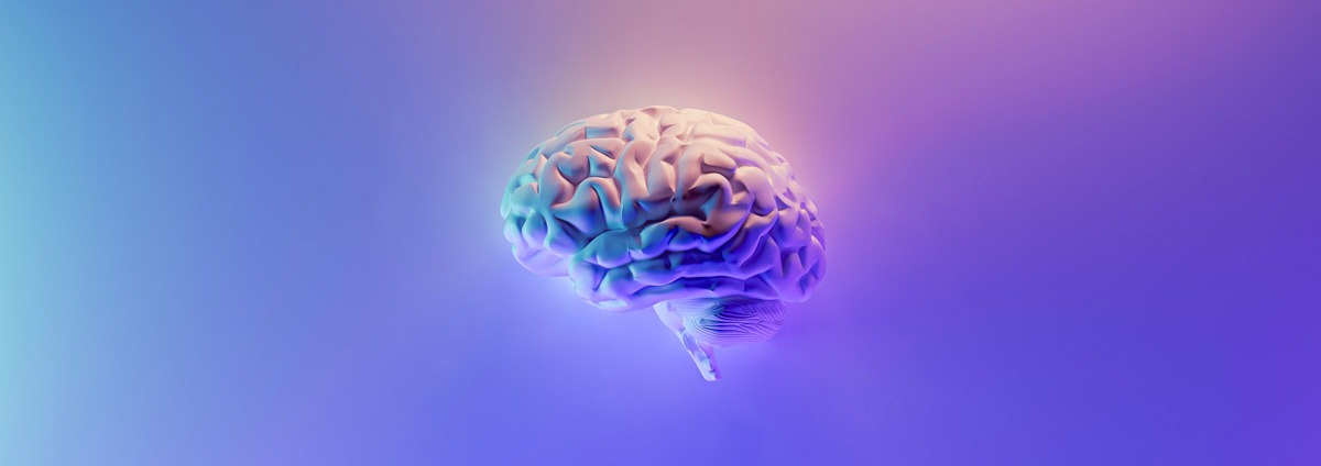 brain