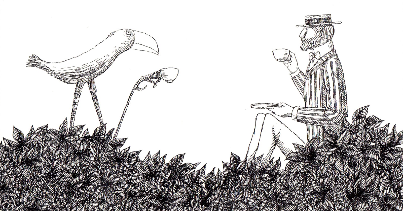 theosbickbird edwardgorey0