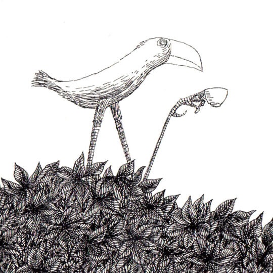 theosbickbird edwardgorey800